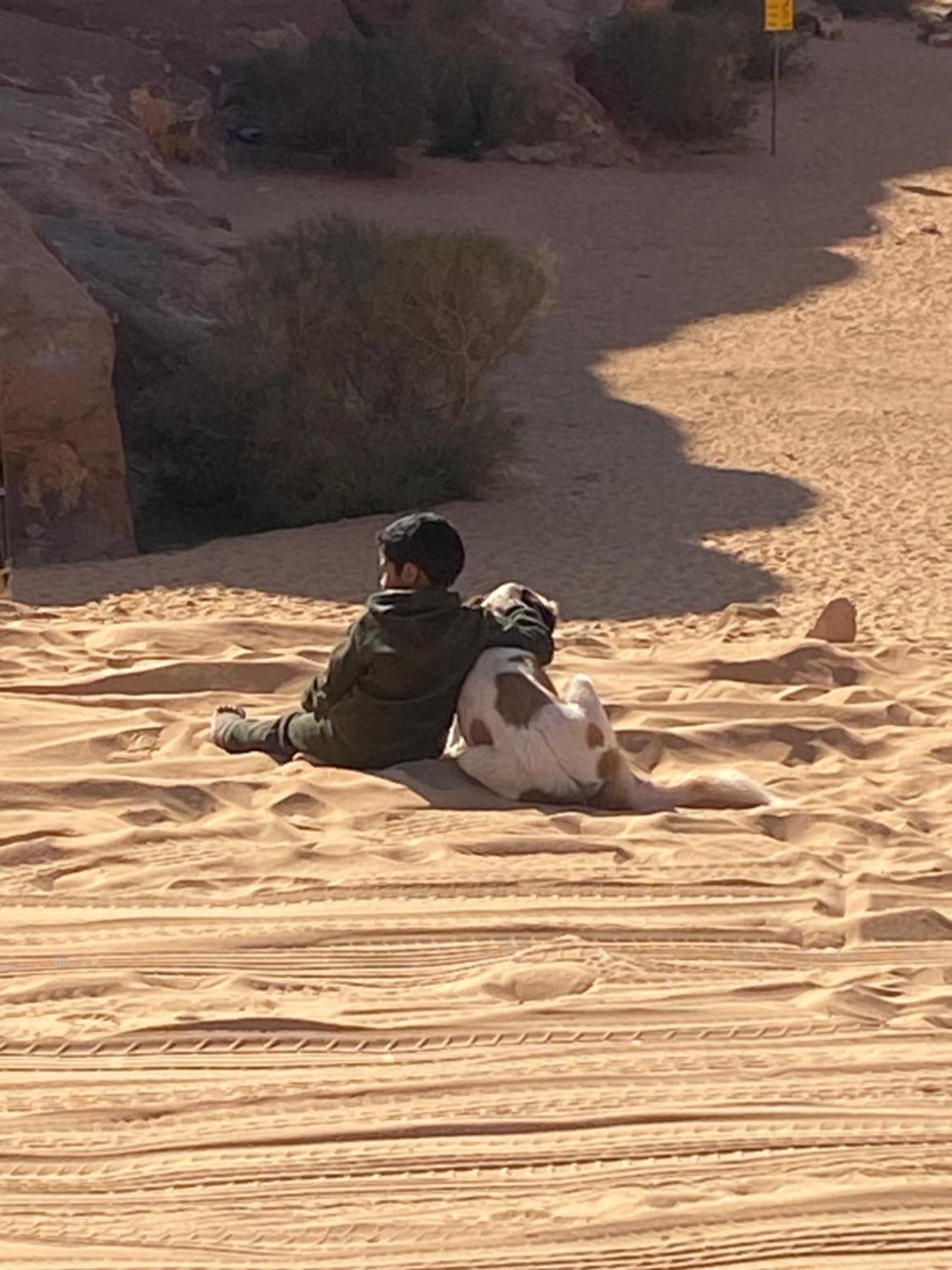 Wadi Rum Bedouin Heart Camp Zewnętrze zdjęcie