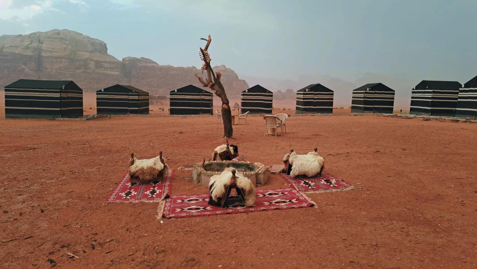 Wadi Rum Bedouin Heart Camp Zewnętrze zdjęcie